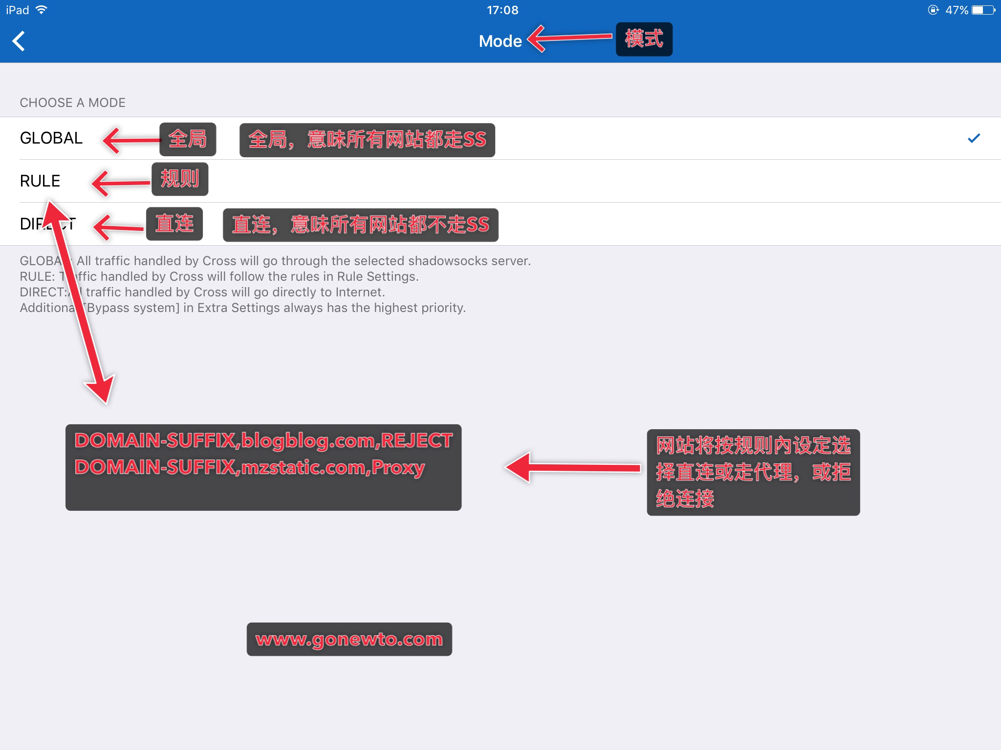 shadowsocks client 配域名